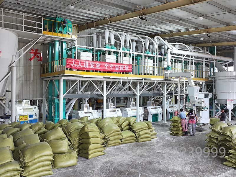 邹城100吨玉米资料3